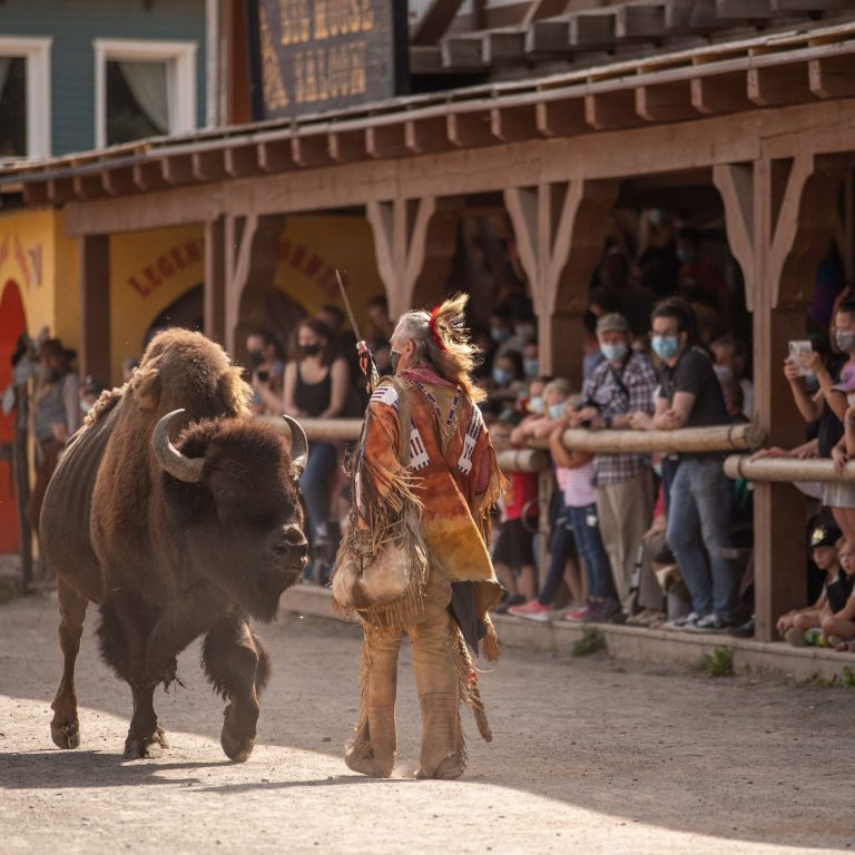 Pullman City Harz - Show